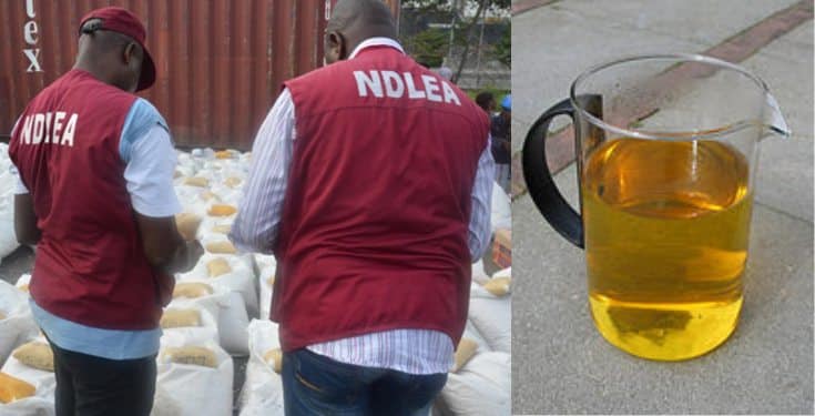 Nigerian youths now take processed urine to feel high – NDLEA