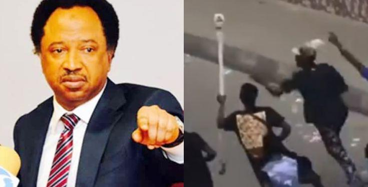 "Respect the throne and return staff of the Oba of Lagos" - Shehu Sani pleads