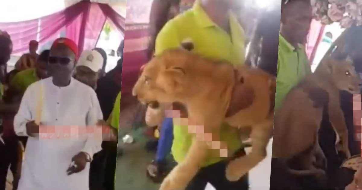 Man attends father's burial ceremony with a lion in Anambra State (Video)