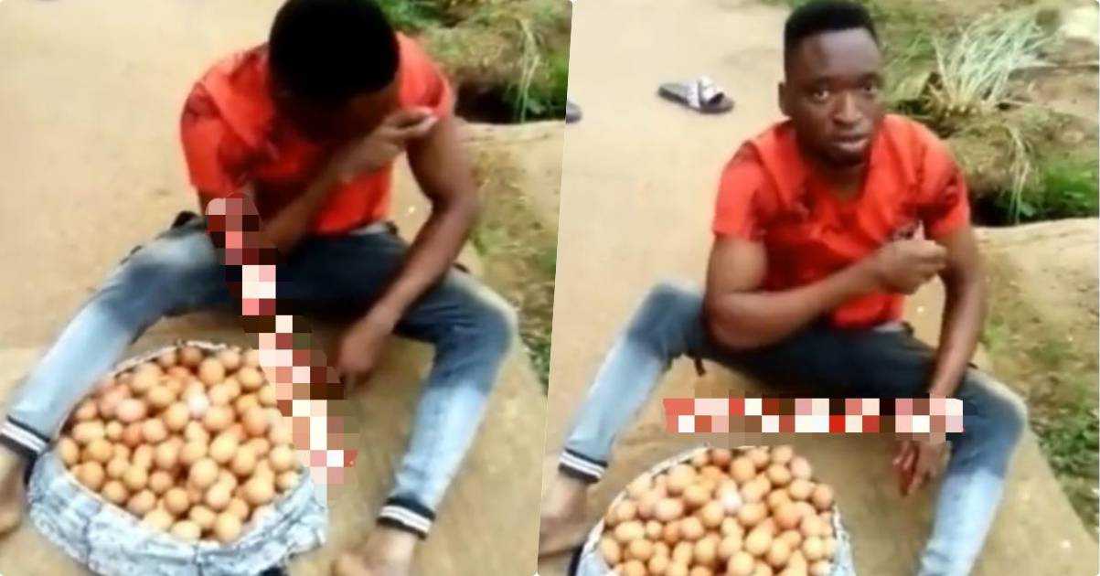 Worker nabbed after stealing eight crates of eggs from farm (Video)