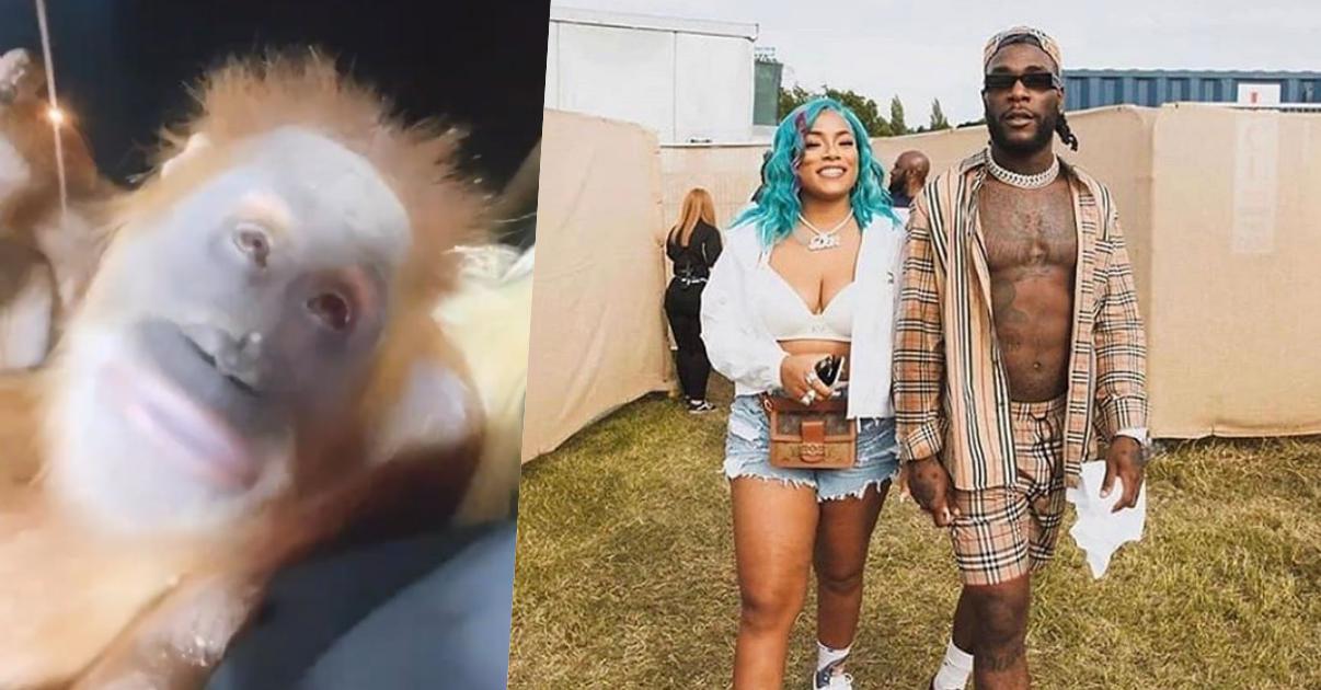 "Everything reminds her of Burna Boy" - Reactions as Stefflon Don engages monkey in relationship talk (Video)
