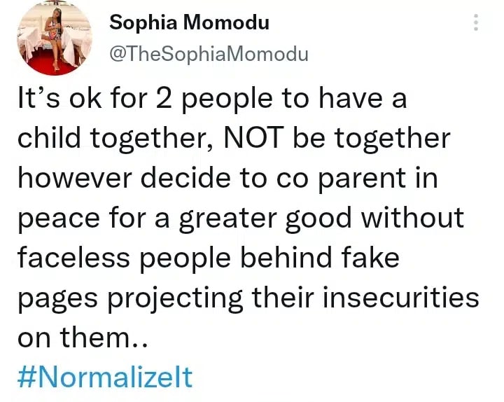 “It’s ok for two people to have a child and not be together" — Sophia Momodu pens cryptic note, slams faceless trolls