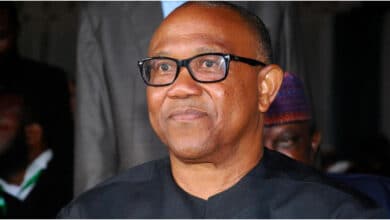 JUST IN: Appeal court orders INEC to grant Peter Obi access to inspect election materials