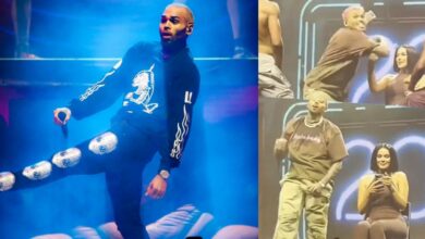 Moment Chris Brown threw fans phone into the crowd for ignoring him while he gave her a lap dance (Video)