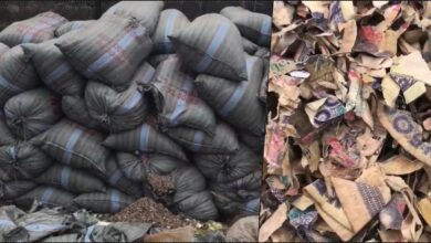 Nigerians angered over truckload of shredded old naira amidst scarcity of cash in Nigeria