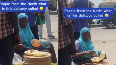 Lady tourist reveals what she discovered with a roadside food vendor as she travels the Northern part of the country