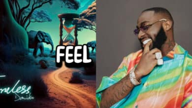 Davido releases official music video for ‘FEEL’