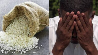 "Trust your babe or count rice" - Man refuses to trust his girlfriend, counts grains of rice from 1 to over 960 million