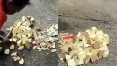 “Let us learn cleanliness” — Lady shouts up a storm as she corrects roadside food vendor for unhealthy cooking habits