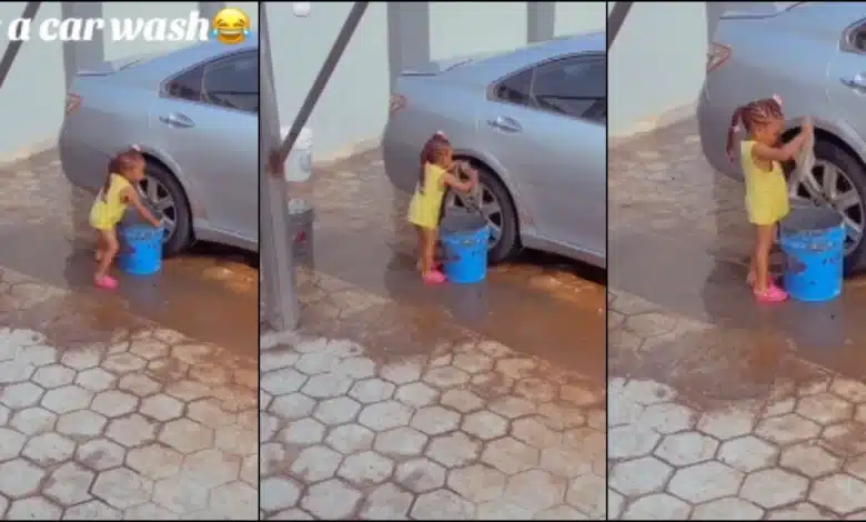 girl 2-year-old washes mom's car