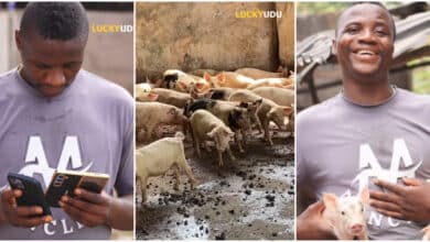 Farmer who started pig business with N270k celebrates making N30 million monthly