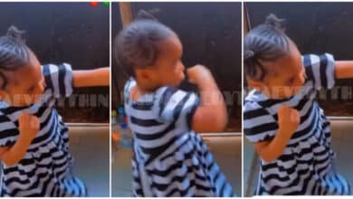 Video of Nigerian parents teaching their little daughter boxing amid school bullying concerns causes buzz online