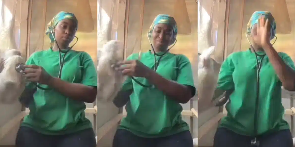 Final year student shares funny video with her project specimen