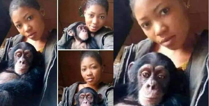 'I will rather date a monkey than a man,' - Lady says