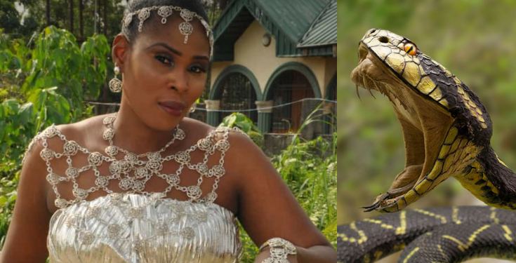 Woman dies from snake bite hours after wedding In Delta State
