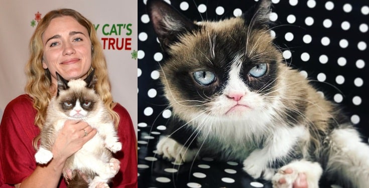 Grumpy Cat, the richest cat in the world with $100 million fortune is dead