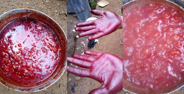 Lady shares pictures of the “fake” palm oil she bought in Abuja (Photos)