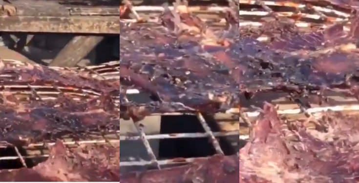 Lady shocked after seeing how Kilishi’ is being made (Video)