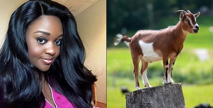 ‘How I lost two of my teeth to a goat’ – Jackie Appiah