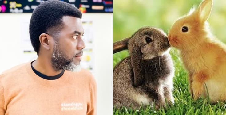 Nigerians produce more children than rabbits - Reno Omokri