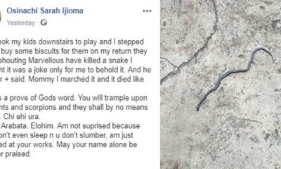 2-yr-old boy kills a snake while playing in their compound