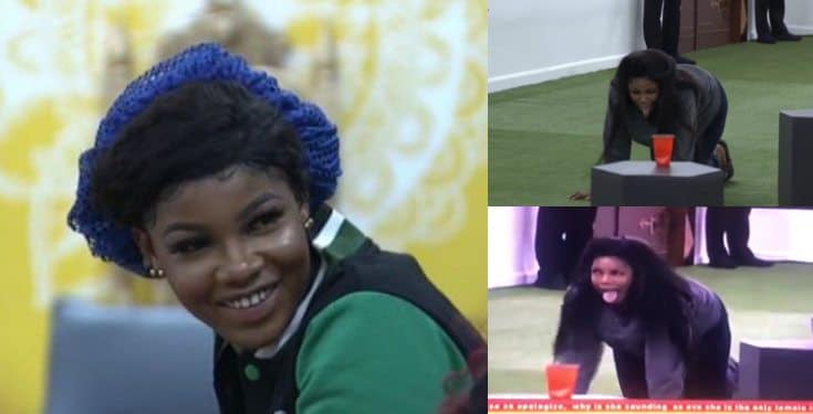 #BBNaija 2019: Watch the moment Tacha mimicked a goat (Video)