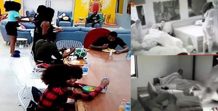 BBNaija 2019: Housemates engage in a pillow fight at 3:00am (video)