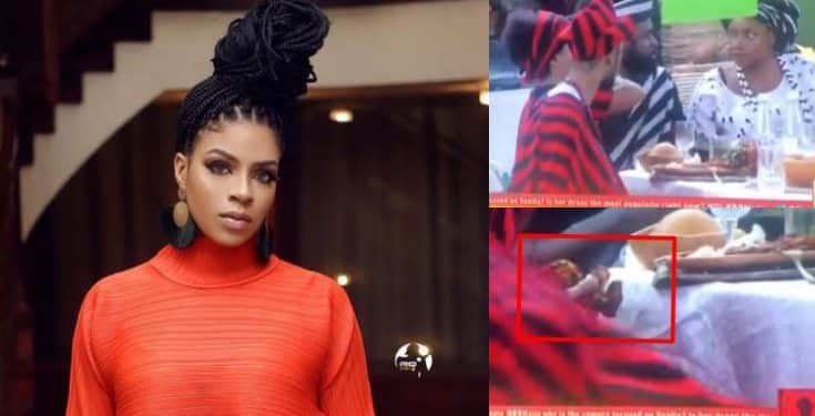 BBNaija 2019: Venita captured hiding food in her chest (video)