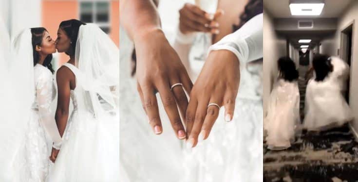 Twitter users reacts to wedding photos of a lesbian couple