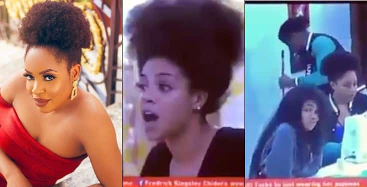 BBNaija's Venita And Enkay Clash