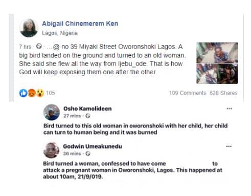 Image result for Bird allegedly turns into an old woman at Oworonshoki, Lagos (video)