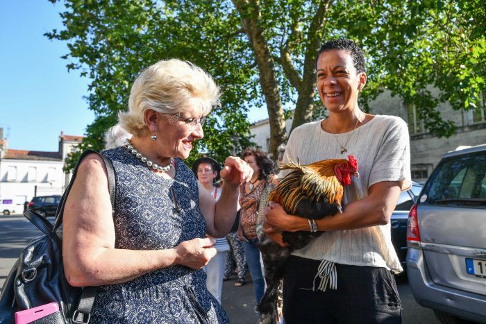 Cock wins a landmark lawsuit to continue crowing (photos)