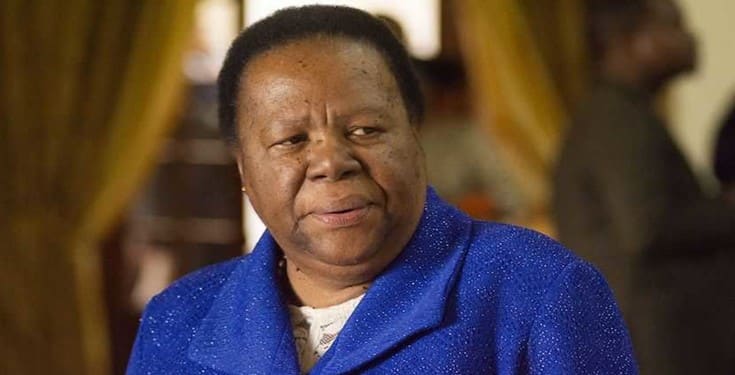 Many Nigerians in our country are drug traffickers - S.Africa minister 