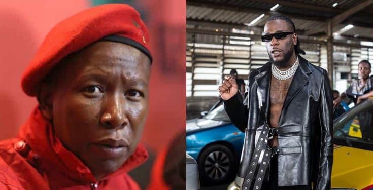 'I’m willing to die for a united Africa' - Burna Boy replies S.African lawmaker, Malema