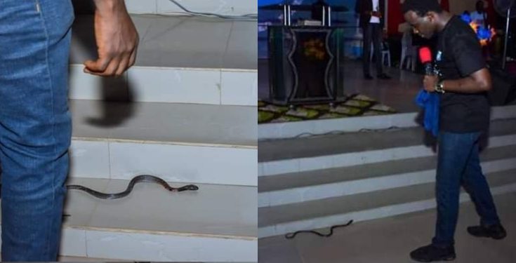 RCCG pastor conquers a snake that tried attacking him on the altar