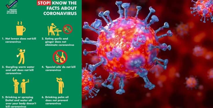 'Consuming lemon, garlic, ginger, palm oil does not protect against Coronavirus' - NCDC warns