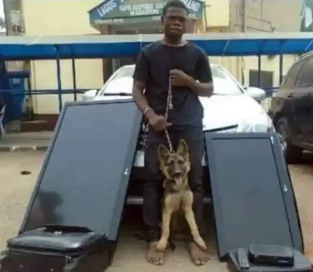 Thief Arrested For Stealing Household Items Including Security Dog 