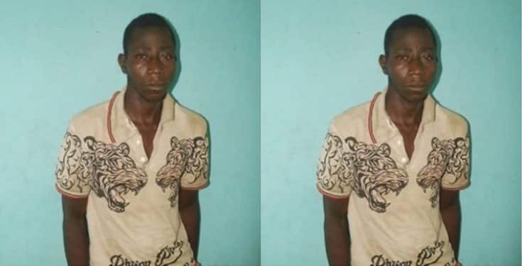 Shocking! 25-year-old man rapes an 85-year-old grandma in Niger state