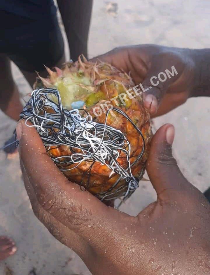 Bound photo of a man and a lady found inside a pineapple