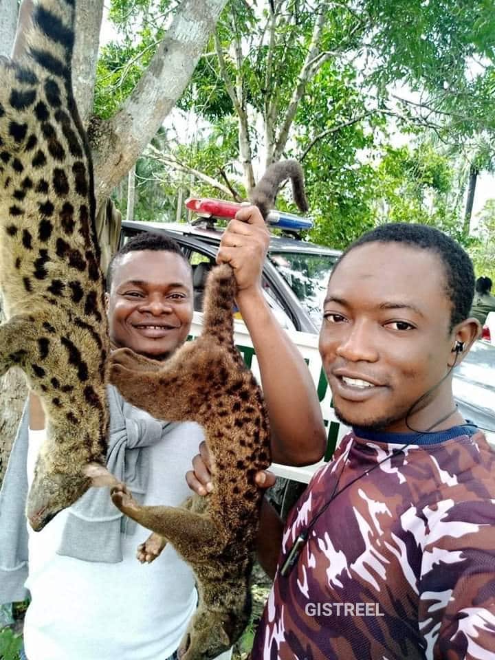 Officers showoff animal they killed