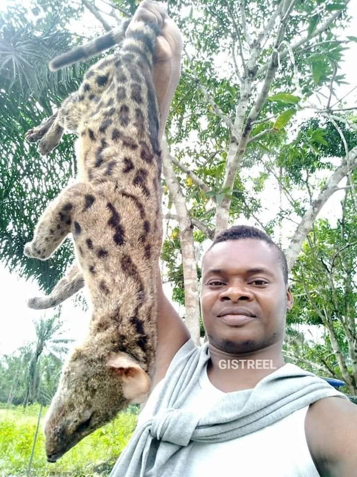 Officers showoff animal they killed