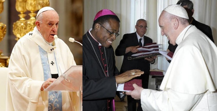 Pope Francis appoints Anambra Bishop into Pontifical Council