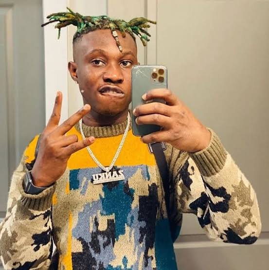 Zlatan gushes over his son