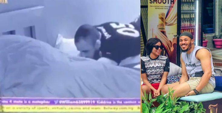 Viewers react as Ozo caresses Nengi (video)