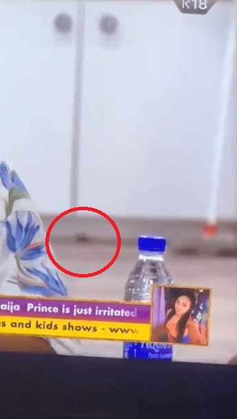 BBNaija: The Moment Rats Invade The Big Brother House  