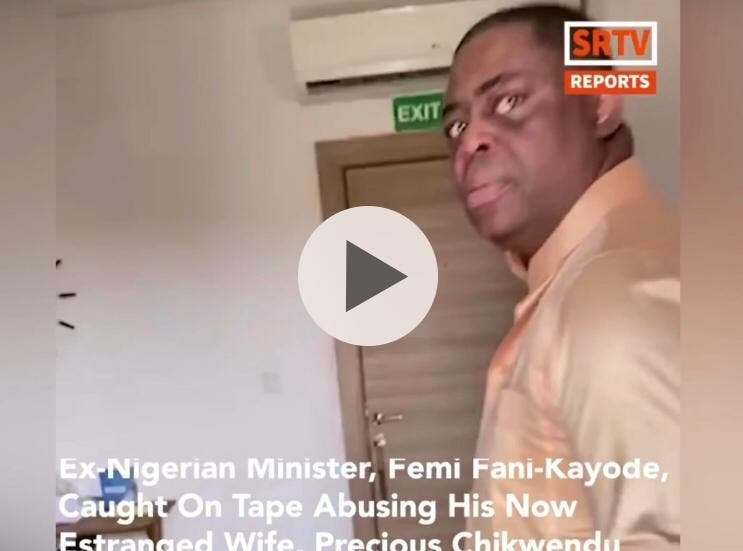 femi fani kayode beating wife, precious chikwendu