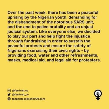 feminist coalition progress report endsars protest 