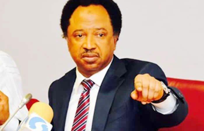 shehu sani