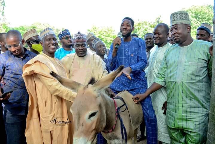 Donkeys as youth empowerment in Kano