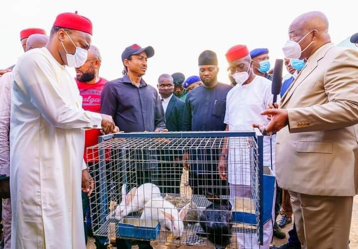 Governor Empowers Youths With Rabbits